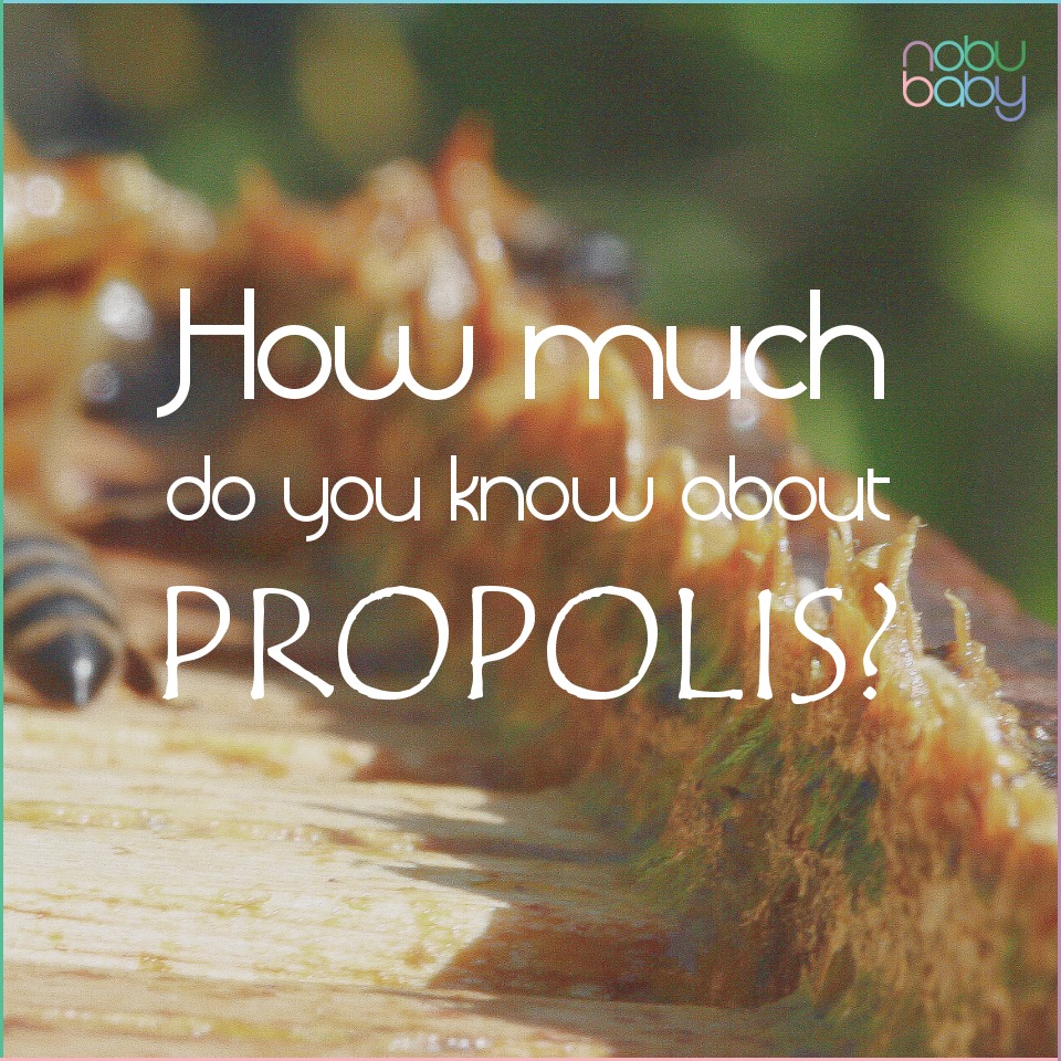 propolis